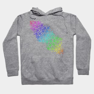 Rainbow Circles in Circles Abstract Hoodie